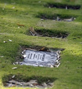burial plaques in a row Pinnaroo Valley Memorial Park