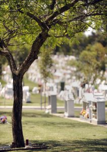 burial area with headstones in a row at Fremantle Cemetery